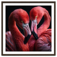 Two Flamingos Together