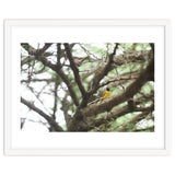 Mini sun thumbnail