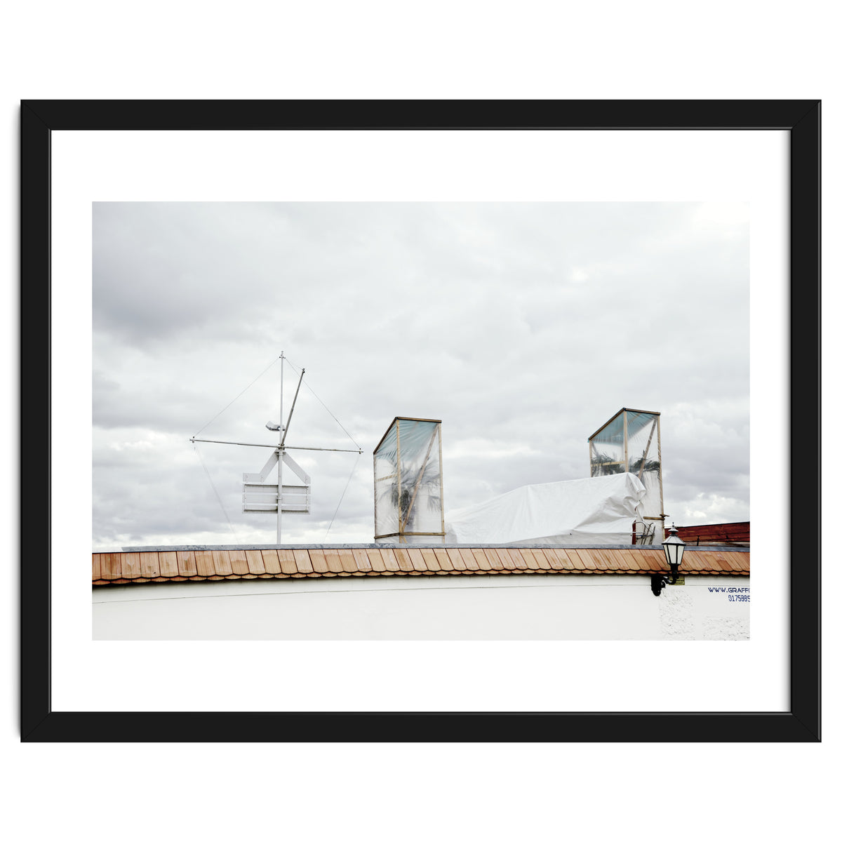 Palm tree waiting for summer