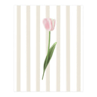 Single Tulip (Print Only)