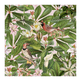 Tropical Bird Garden (Print Only) thumbnail