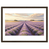 Provençal Sunset: Lavender Field Landscape thumbnail