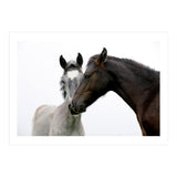 Two Horses (Print Only) thumbnail