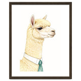 Alpaca thumbnail