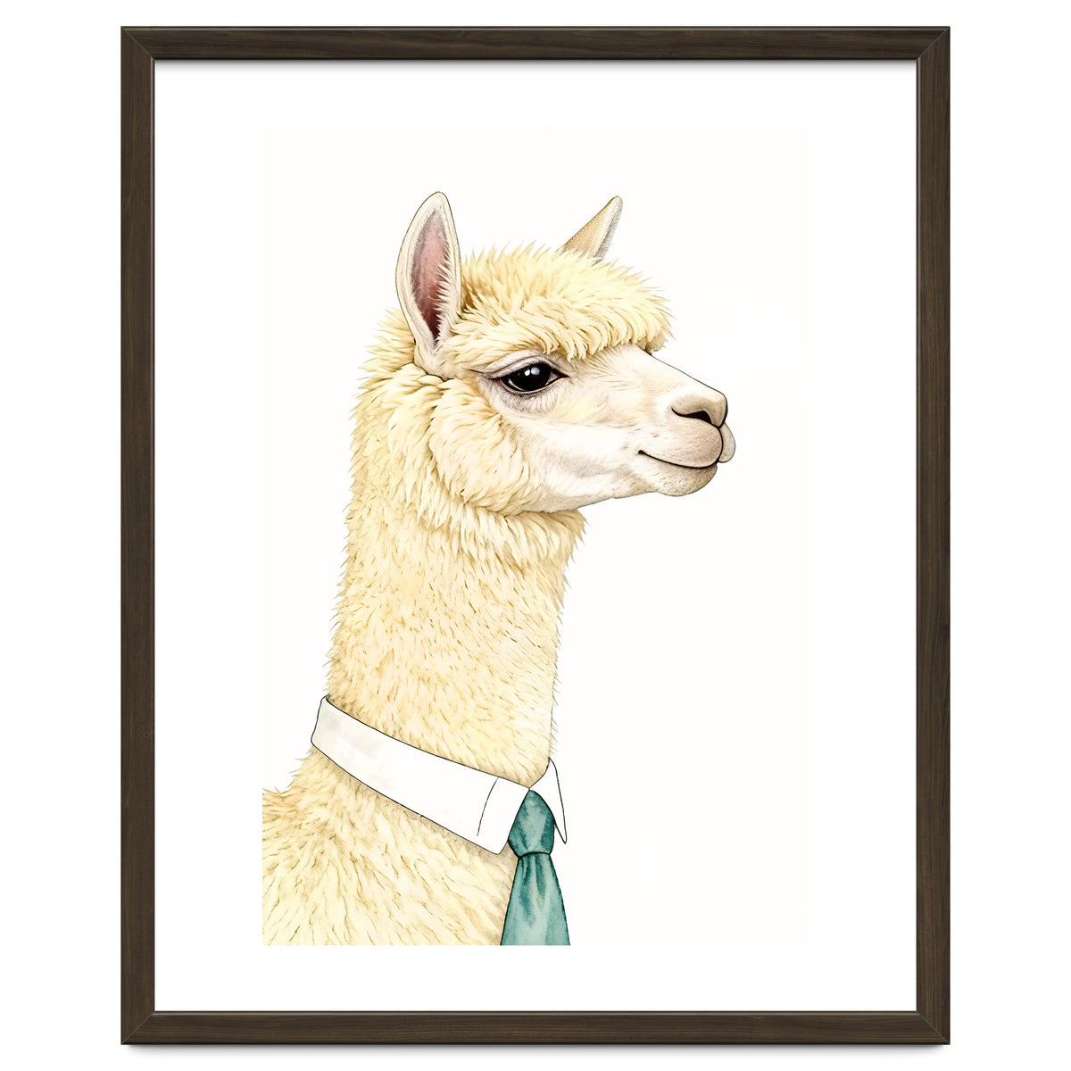 Alpaca