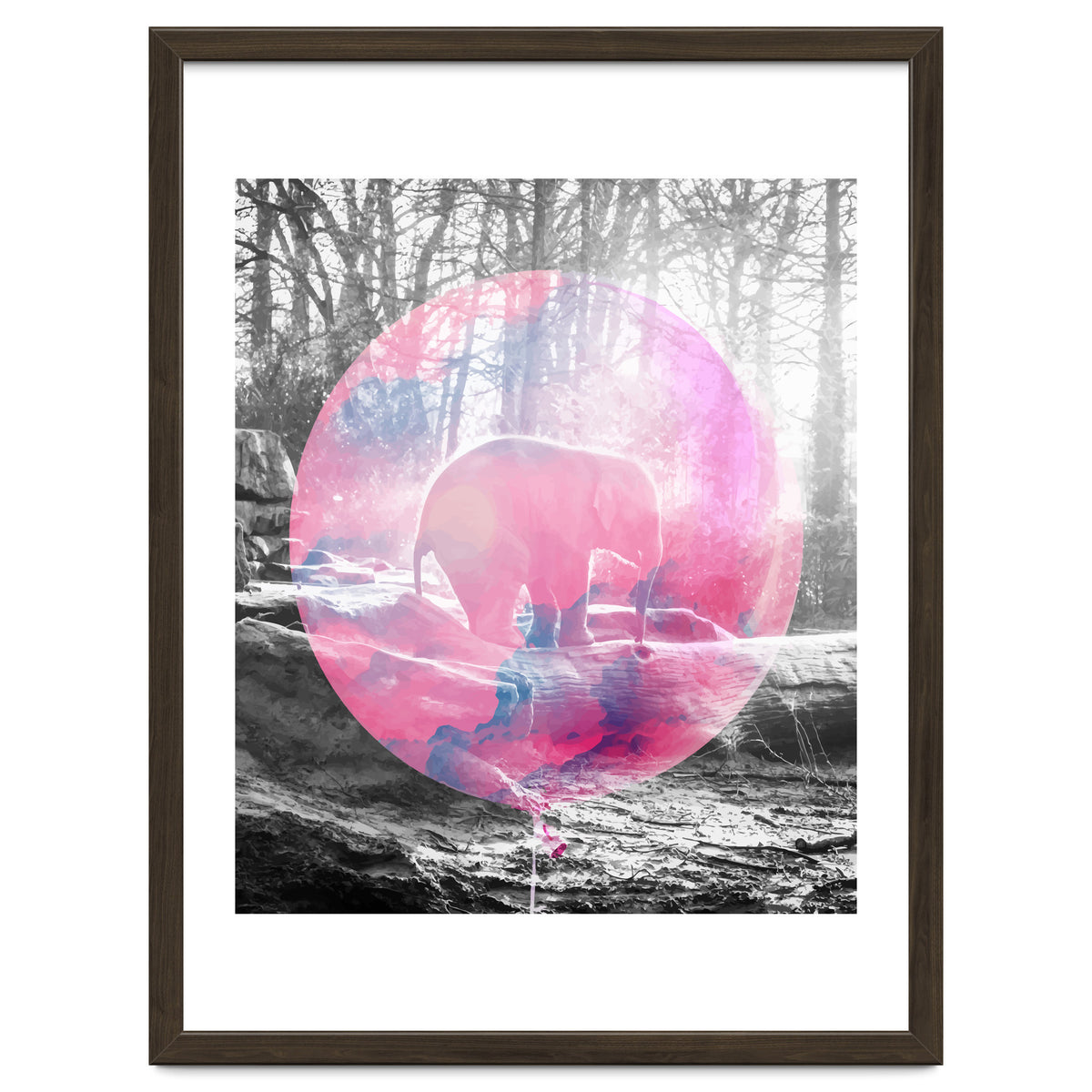 Baby Elephant In A Balloon