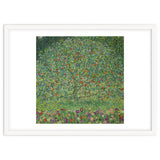 Apple Tree I, 1911 or 1912. Estates of Ferdinand and Adele Bloch-Bauer. thumbnail