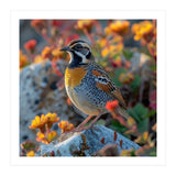 Bird Perched On A Rock With Flowers (Print Only) thumbnail
