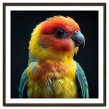 Vibrant Sun Conure Parrot Close Up Portrait thumbnail