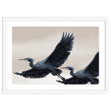 Migrating Herons thumbnail
