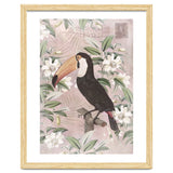 Exotic Bird Toucan thumbnail