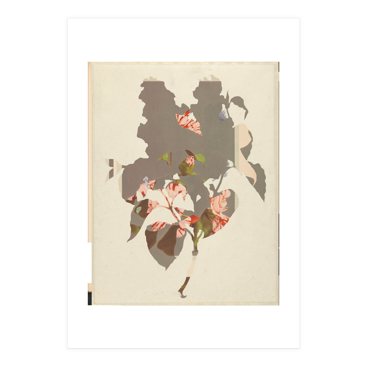 The First Plant · M2 (Print Only)