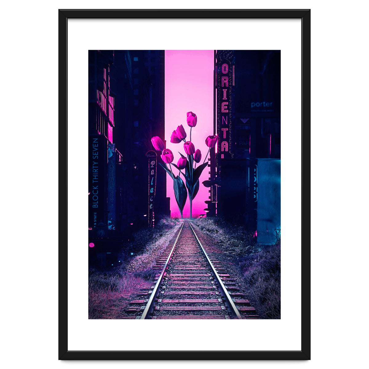 red tulips in the middle of the city