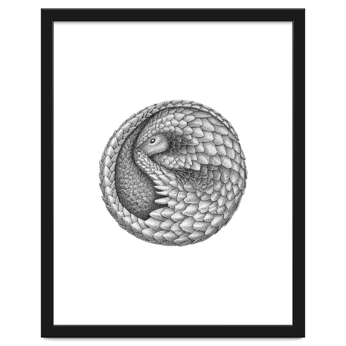 Pangolin no. 2