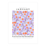 Carnation & Snowdrop January Birth Flower (Print Only) thumbnail