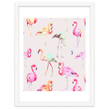 Flamingo Formation thumbnail