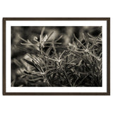 Rosemary Plant thumbnail