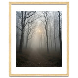 Ethereal Morning Light Breaking Through Dense Forest Fog thumbnail