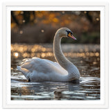 Graceful Swan Gliding On Reflective Water Surface thumbnail
