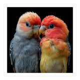 Two Lovebirds Nuzzle Together (Print Only) thumbnail