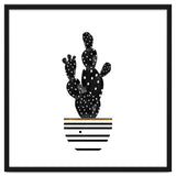Black Cactus thumbnail
