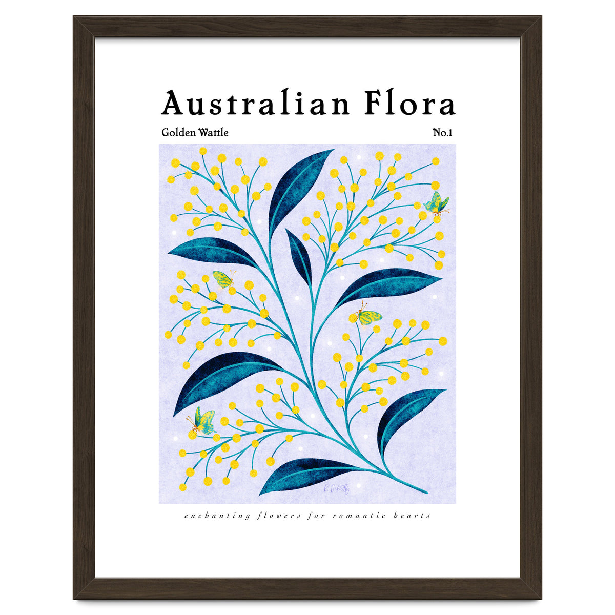 Australian Flora: Golden Wattle