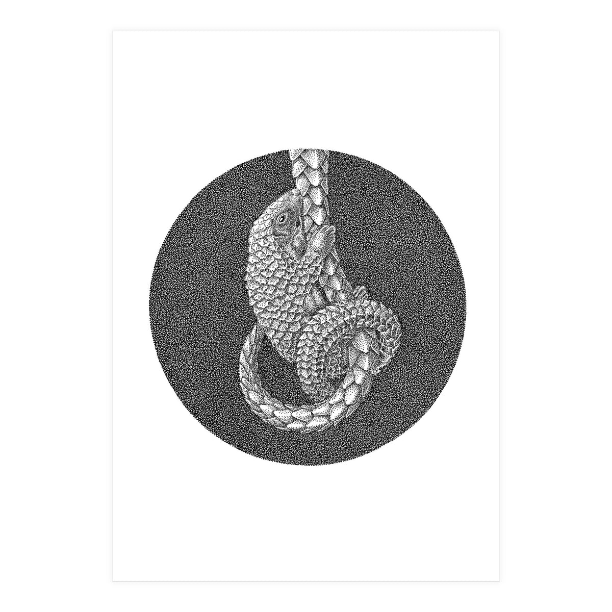 Pangolin no. 3 (Print Only)