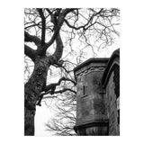 Stark Contrast (Print Only) thumbnail