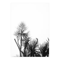 Miminalist Palm (Print Only)
