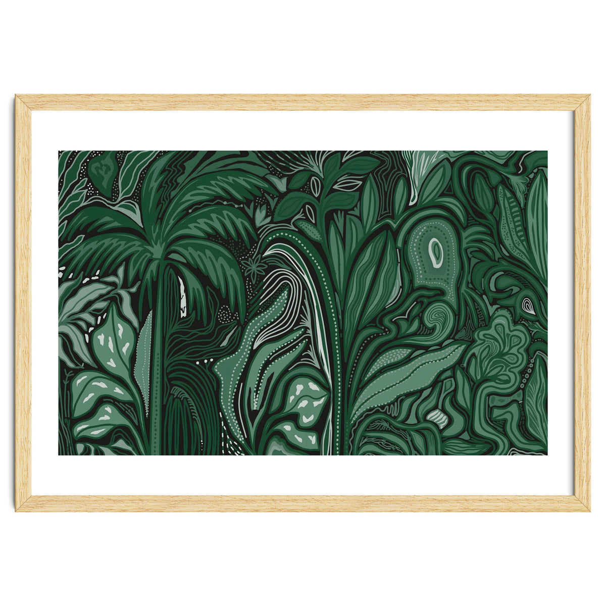 Noctiverdis magnifolia arcana tropical green