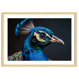 Close Up Peacock Head Blue Green Feather thumbnail