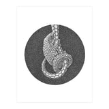 Pangolin no. 3 (Print Only) thumbnail