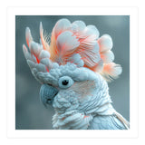Close Up Of A White Cockatoo With Pink Crest (Print Only) thumbnail