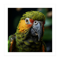 Close Up Of A Colorful Macaw Parrot Face (Print Only)