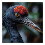 Black Crane Bird Head With Red Crown And Raindrops (Print Only) thumbnail