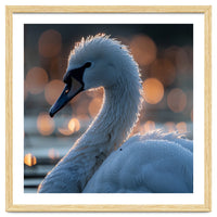 Close-up Shot of a Swan with Water Droplets