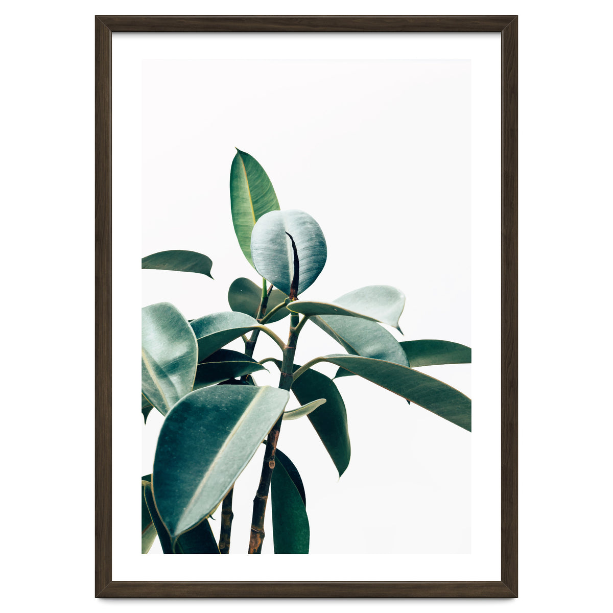 L'amour de ma vie #society6 #decor #buyart