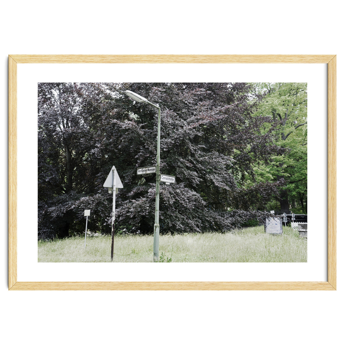 Signs at the corner of the street