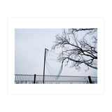 Net caught in a tree (Print Only) thumbnail