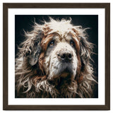 Old Dog 01 thumbnail