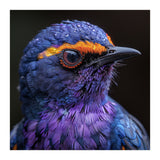 Close Up Portrait Of A Vibrant Exotic Bird (Print Only) thumbnail