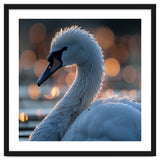 Close-up Shot of a Swan with Water Droplets thumbnail