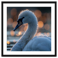 Close-up Shot of a Swan with Water Droplets