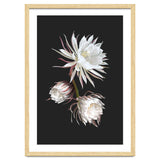 Queen Of The Night thumbnail