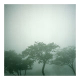Silence of breath - 17 (Print Only) thumbnail