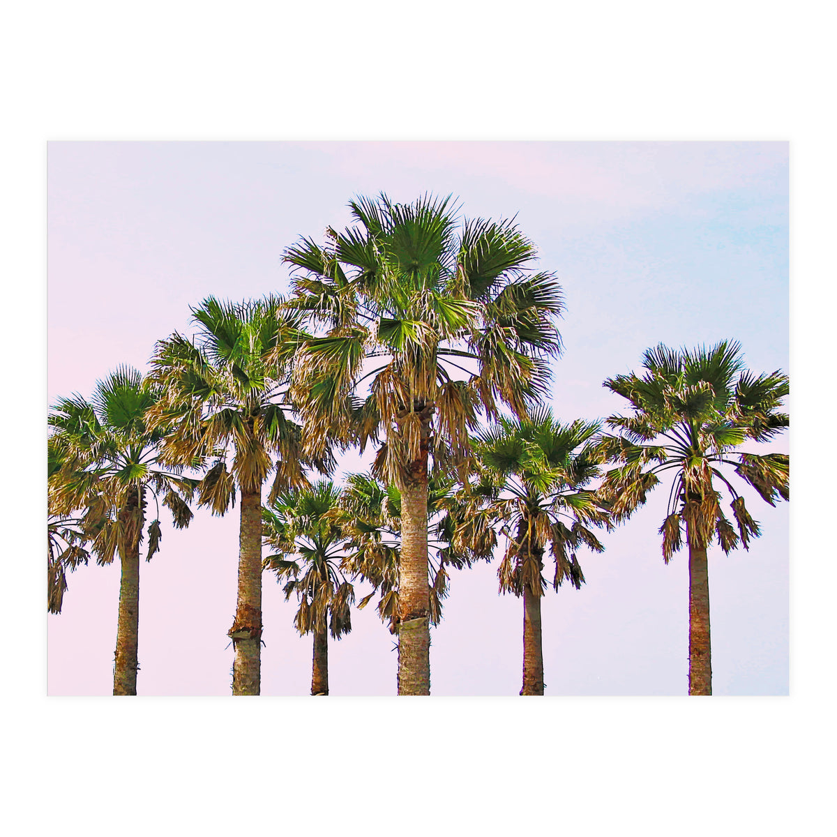 Vacay || #society6 #decor #buyart (Print Only)