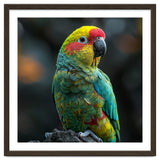 Vibrant Amazon Parrot Perched On A Branch thumbnail