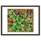 Meadow at spring thumbnail