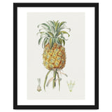 Pineapple (Hand Drawn Botanical Illustration) thumbnail