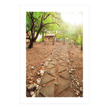 WISE (Print Only) thumbnail